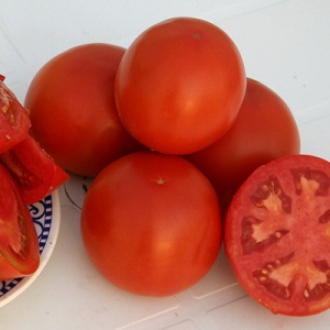Một loại cây lai tuyệt vời cho vùng đất trống - cà chua quý bà Shedi f1: chúng tôi trồng cà chua khiêm tốn mà không gặp rắc rối