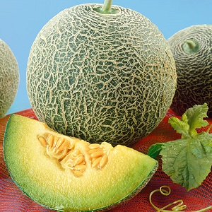 Suriin ang matamis at makatas na iba't ibang Slavia melon