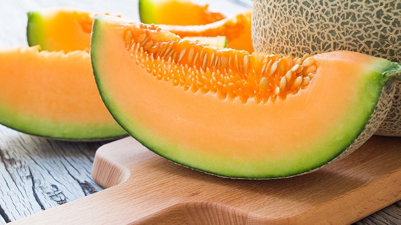 Bewertung der süßen und saftigen Sorte Slavia Melone