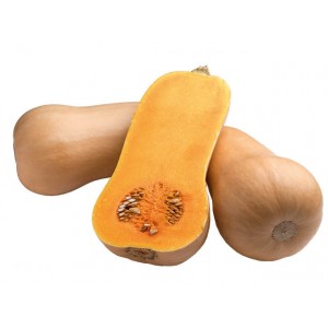 الهجين الهولندي الناضج المبكر من قرع ماتيلدا: نزرع ما يصل إلى 15 كجم من الفاكهة لكل متر مربع