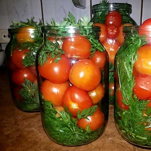 Cómo cocinar deliciosos tomates enlatados para el invierno en frascos de litro: una selección de las mejores recetas