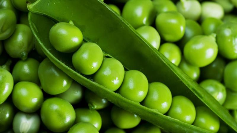 The simplest blanks: how to freeze green peas at home for the winter and what to cook from them later