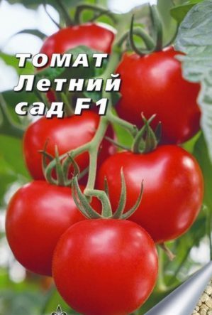 Ankstyvų hibridinių pomidorų vasaros sodas f1 apžvalga: vasaros gyventojų apžvalgos ir instrukcijos hibrido auginimui