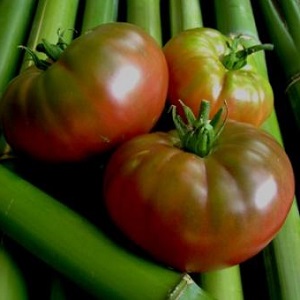 ميكادو الطماطم محبوب من قبل سكان الصيف مع لوحة غنية من الأنواع الفرعية ومناعة قوية - نحن نزرعها بأنفسنا دون متاعب