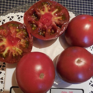 Cà chua Mikado được cư dân mùa hè yêu thích với bảng màu phong phú của các loài phụ và khả năng miễn dịch mạnh mẽ - chúng tôi tự trồng mà không gặp rắc rối