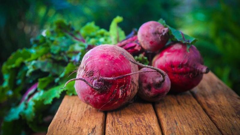 How to properly water beets with salt water - proportions of the solution and instructions for processing a vegetable for its sugar content