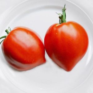 Tomatensorte Erdbeerbaum - Resistenz gegen sibirische Krankheiten und hoher Ertrag