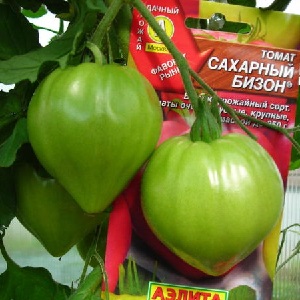 Stabil i utbyte och sjukdomsresistent tomat Sockerbison: egenskaper och beskrivning av sorten