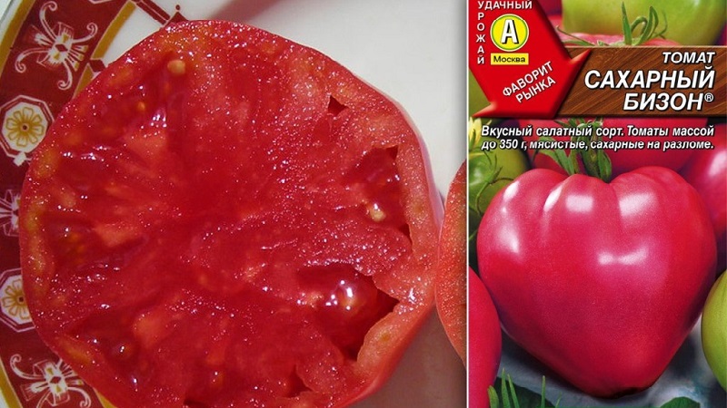 Verim ve hastalığa dirençli domates Şeker bizonu: çeşidin özellikleri ve tanımı