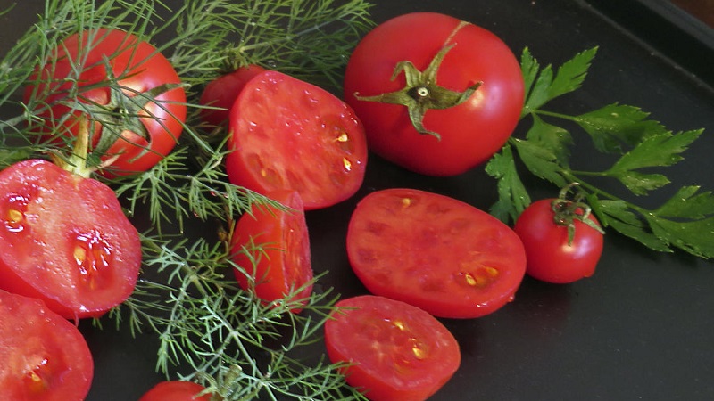 Minimum bakım gerektiren iddiasız bir çeşit - Japon cüce domates
