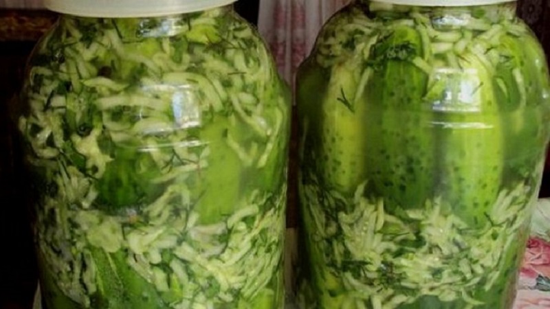 Komkommers sluiten we snel en lekker in ons eigen sap