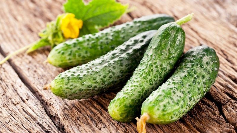 Hoe u verse komkommers bewaart, zodat ze niet zo lang mogelijk bederven
