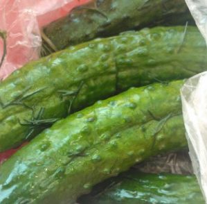 Zo kook je gemakkelijk en lekker licht gezouten komkommers: een selectie van de beste recepten