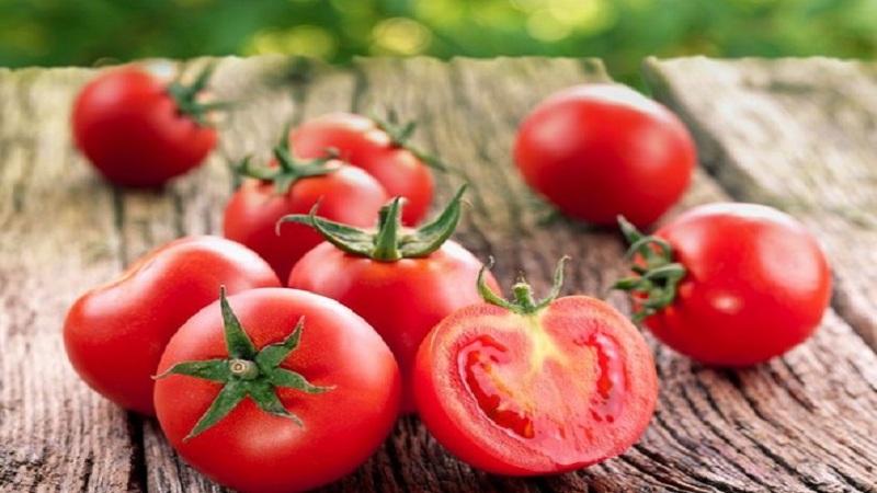 Muhteşem bir hasat veren yerli yetiştiriciler tarafından yaratılan bir melez - domates Eupator