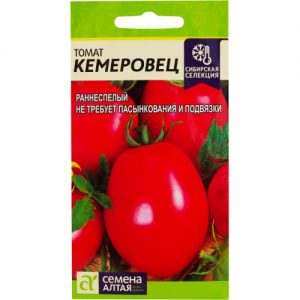 Kesinlikle memnun kalacağınız bir çeşitlilik - Kemerovets domates ve bunun için uygun bakımın sırları