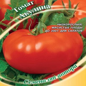 Một giống đậu quả lớn với hương vị dễ chịu - cà chua Akulina và hướng dẫn từng bước để trồng nó