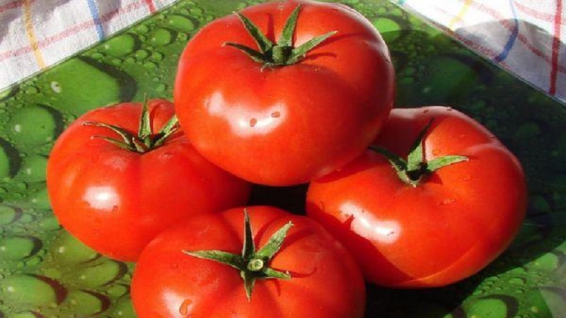 En stor fruktad sort med en behaglig smak - Akulina tomat och en steg-för-steg guide för att odla den