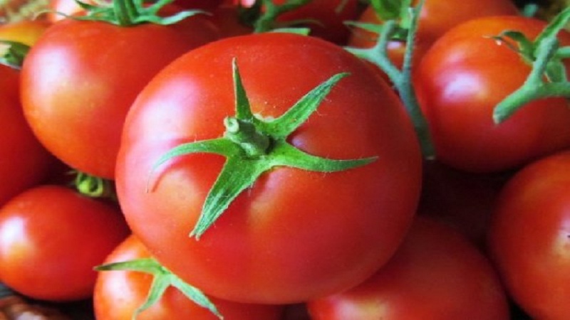 Yerli seçim emektarı - erken olgunlaşan Sibirya domatesi, bahçıvanlar tarafından zaman içinde test edilmiş ve sevilen