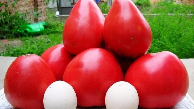Überprüfung der besten Sorten von hohen Tomaten für offenes Gelände: Hilfe bei der Auswahl und Bewertung der Sommerbewohner