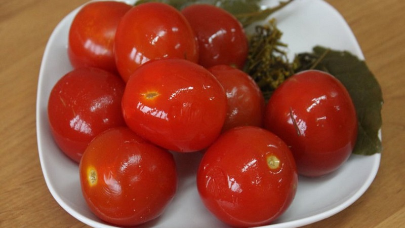 Le 10 migliori ricette su come marinare i pomodori in una botte, caratteristiche della preparazione del contenitore e conservazione dei sottaceti già pronti