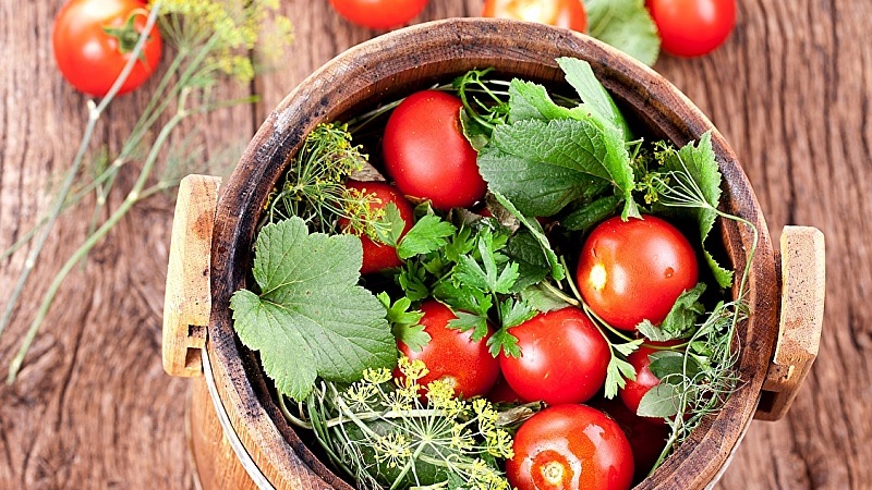 10 geriausių receptų, kaip marinuoti pomidorus statinėje, paruošti indus ir paruoštus marinuoti agurkus