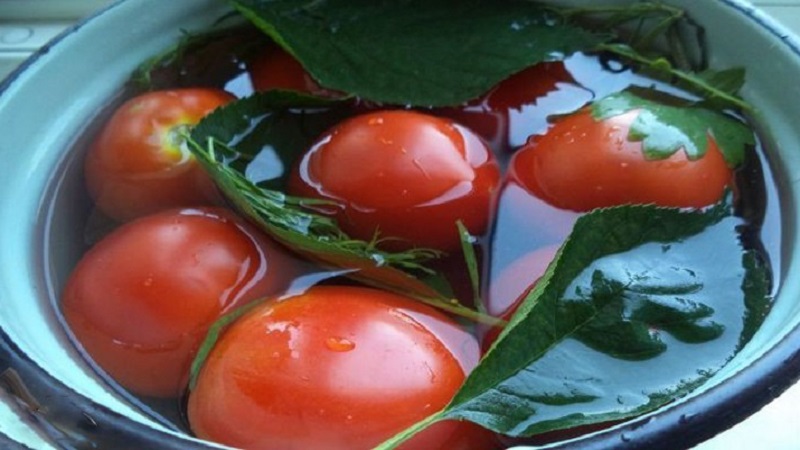 Οι 10 καλύτερες συνταγές για το πώς να μαζέψετε ντομάτες σε βαρέλι, χαρακτηριστικά προετοιμασίας δοχείου και αποθήκευση έτοιμων τουρσιών