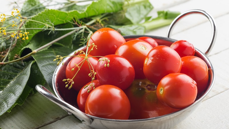 Οι 10 καλύτερες συνταγές για το πώς να μαζέψετε ντομάτες σε βαρέλι, χαρακτηριστικά προετοιμασίας δοχείου και αποθήκευση έτοιμων τουρσιών