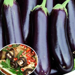 Ce qui est bon à propos de l'aubergine Ilya Muromets: critiques des résidents d'été et caractéristiques de la technologie agricole