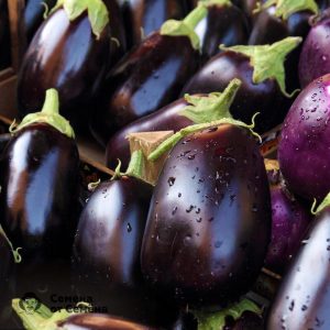Neden yaz sakinleri Black Handsome patlıcan çeşidini seviyor ve nasıl yetiştirilir?