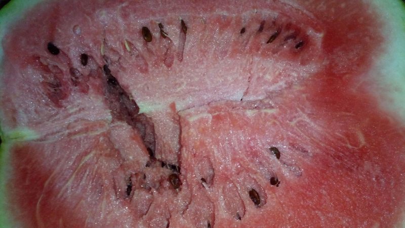 What do white streaks in a watermelon mean and what other signs should alert you