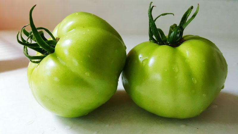 Where and how to store green tomatoes so that they turn red as quickly as possible and how to keep ripe fruits for a long time