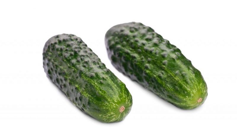Een vroeg rijpende hybride van Maryina Roscha f1-komkommer, geliefd bij zomerbewoners vanwege de hoge opbrengst