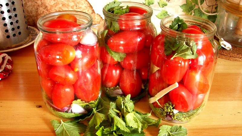 Kış için lezzetli turşu domatesleri nasıl pişirilir: deneyimli ev hanımlarından en iyi tariflerden bir seçim