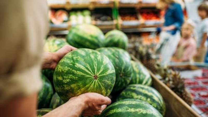 كيفية اختيار البطيخ الناضج والحلو: ما الذي تبحث عنه عند شراء واختيار الفاكهة في الحديقة