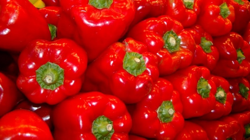 Come coltivare il peperone ibrido Denis per un ricco raccolto di frutti dolci e succosi