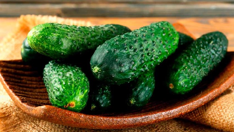Šiltnamyje populiarus hibridas su gražiu pavadinimu ir gausiu derliumi - agurkai Smaragdo auskarai