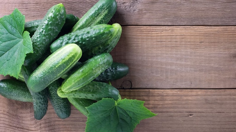 Greenhouse populaire hybride met een mooie naam en een overvloedige oogst - komkommers Emerald oorbellen