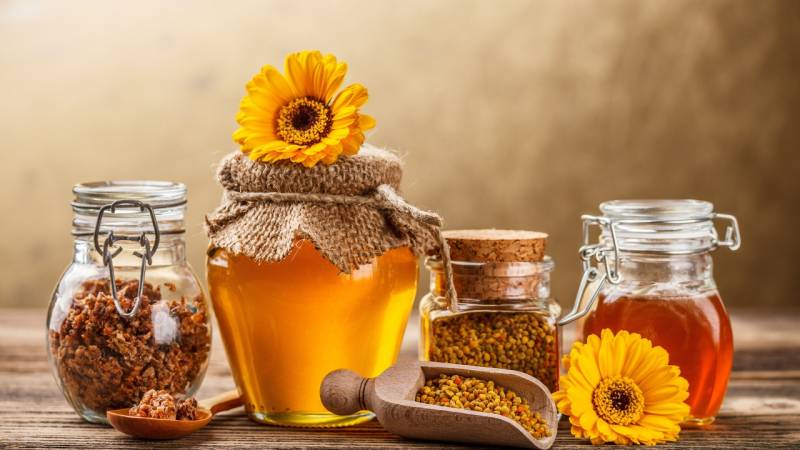 Користи и штете краставаца са медом за људско тело