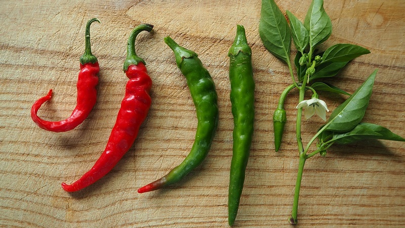 Pepperoni-pippurin ominaisuudet ja lajikkeet, sen viljely ja sovellukset