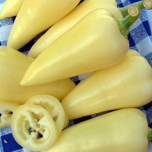 Prečo je odroda papriky Belozerka dobrá a prečo sa oplatí pestovať ju na vašom webe