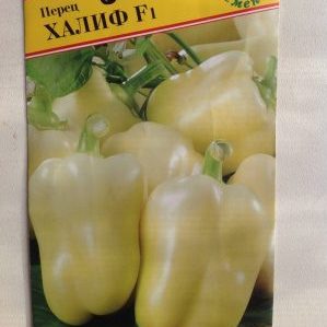 En tidlig moden og høyavkastende hybrid av Kalif (Khalif) pepper fra japanske oppdrettere