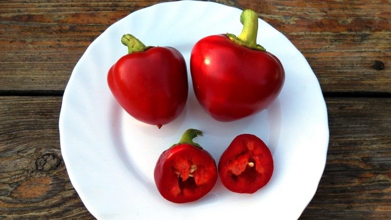 A time-tested variety of pepper Kolobok with an unusual shape and excellent taste