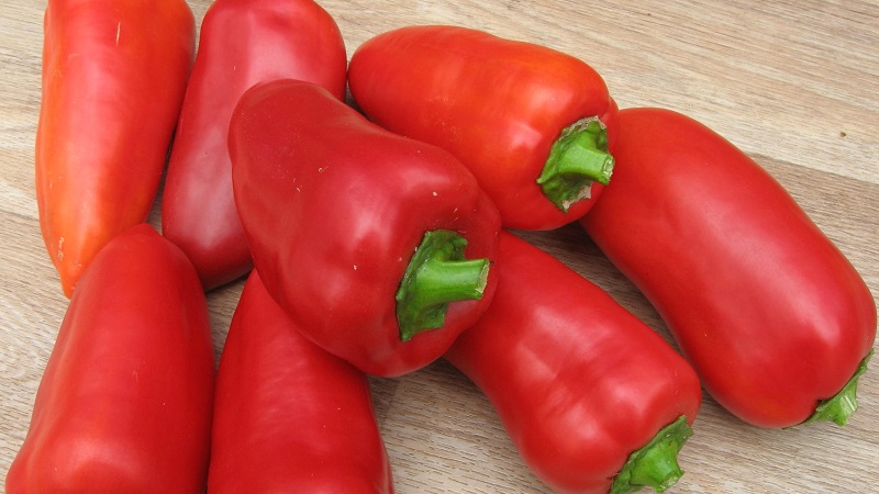 Izbor najboljih sorti slatke paprike za vanjsku upotrebu