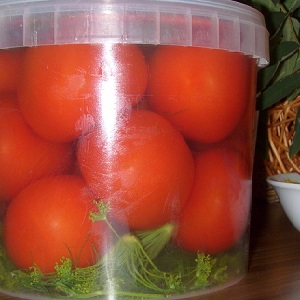 Les recettes les plus délicieuses et simples pour mariner les tomates dans un seau: nous faisons d'excellentes préparations pour l'hiver