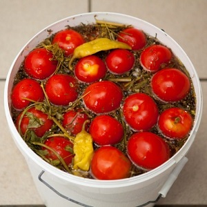 Las recetas más deliciosas y sencillas para encurtir tomates en un cubo: hacemos excelentes preparaciones para el invierno.