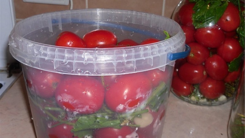 Bir kovada domates turşusu yapmak için en lezzetli ve basit tarifler: kış için mükemmel hazırlıklar yapıyoruz