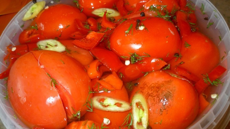 As receitas mais deliciosas e simples para conservar tomates em um balde: fazemos excelentes preparações para o inverno