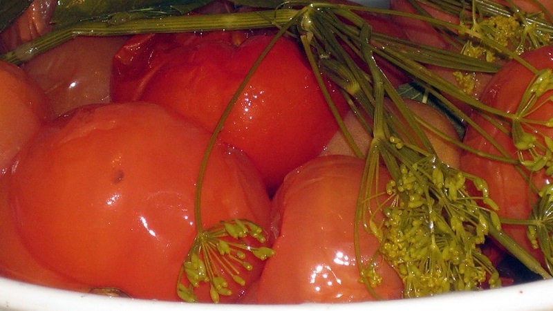 Najukusniji i najjednostavniji recepti za kisele rajčice u kanti: izvrsno pripremamo zimu