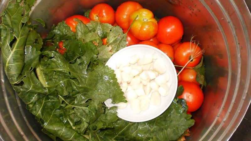 Οι πιο νόστιμες και απλές συνταγές για τουρσί ντομάτας σε ένα κουβά: κάνουμε εξαιρετικές προετοιμασίες για το χειμώνα