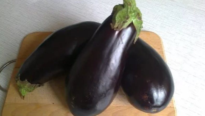 Kara Prens patlıcan çeşidinin gözden geçirilmesi ve yetiştirme talimatları